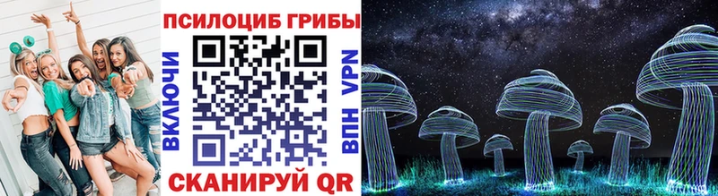 Галлюциногенные грибы Cubensis  где найти наркотики  Ступино 