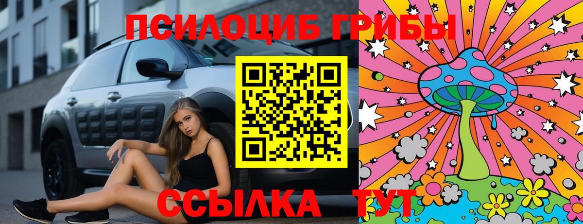 Ступино  Псилоцибиновые грибы прущие грибы  закладка  Вход с VPN 