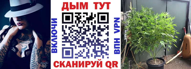 Каннабис ГИДРОПОН  сколько стоит  Ступино 